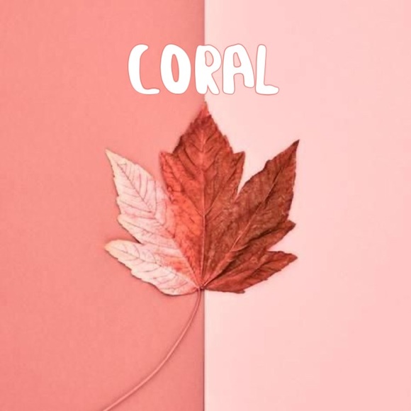 CORAL - Picture 2 of 4